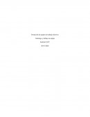 Formación de equipos de trabajo efectivos. Liderazgo y trabajo en equipo