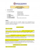 LA IMPORTANCIA DE LA VIDA EN SOCIEDAD