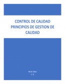 Principios gestion de calidad