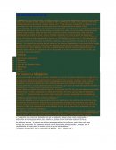 Historia de la pizza