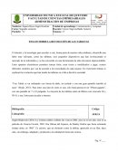 ENSAYO SOBRE LA REVOLUCIÓN DE LAS TABLETAS