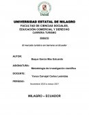 El mercado turístico sin barreras en Ecuador