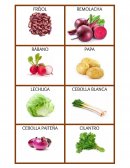 PROYECTO MINI JARDÍN O MINI HUERTO