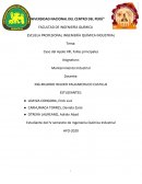 Caso del Apolo Xlll, Fallas principales