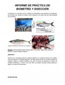 INFORME DE PRÁCTICA DE BIOMETRÍA Y DISECCIÓN