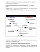 Trastornos plaquetarios