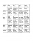 Rúbrica Infografía Digital