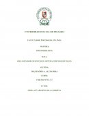 ORGANIZADOR GRÁFICO DEL SISTEMA NERVIOSO HUMANO