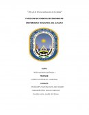 TEOÍA MICROECONÓMICA I