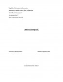 Área de formación: Biología “Reinos biológicos”