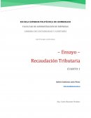 Recaudación Tributaria