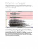 Análisis fonético acústico de las vocales
