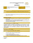 Los ámbitos y las prácticas de la profesión en el contexto social, internacional, nacional y local