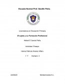 El sujeto y Formación Profesional docente