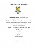 Practica de valores dentro del entorno familiar debido a la suspensión de actividades por la pandemia mundial