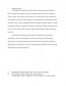 Descripción Morfológica y Taxonómica del cultivo de: Daucus carota L.