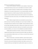 Beneficios de la actividad física en personas mayores