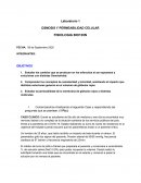 OSMOSIS Y PERMEABILIDAD CELULAR