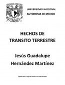 Opinión sobre las reglas de tránsito en el estado de México