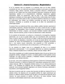 Caso Anemia Ferropénica - Megaloblástica