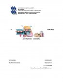 EL COMERCIO ELECTRONICO E - COMMERCE
