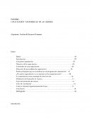 CAPACITACIÓN Y DESARROLLO DE LA CARRERA