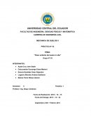 Peso unitario del suelo in situ