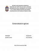 Comercialización agrícola