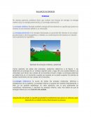 BALANCES DE ENERGIA