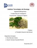 Propiedades del oregano