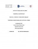 PRACTICA 1: PROYECTO “MINI HUERTO FAMILIAR”