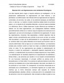 Resumen #12. Las Organizaciones como Ambientes Psicológicos