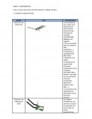 REDES 2. COMPONENTES