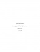 Gestión de Remuneraciones y Compensaciones