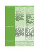 Diferencias del cerebro entre el hombre y la mujer