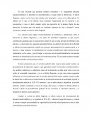 Ensayo sobre arrestos