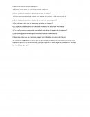 Preguntas posicionamiento