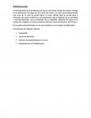 PROYECTO ZONAS DE RIEGO “HUETAMO”