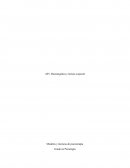 Bioenergética y lectura corporal