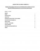 PRÁCTICA N°8. DETERMINACIÓN DE FIERRO (II) EN UNA MUESTRA PROBLEMA MEDIANTE EL USO DE REACCIONES REDOX