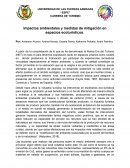 Impactos ambientales y medidas de mitigación en espacios ecoturísticos