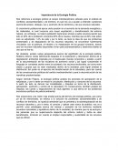 Importancia de la Ecología Política