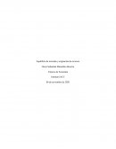 Equilibrio de mercado y asignación de recursos