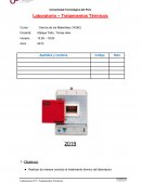 Tratamiento termicos