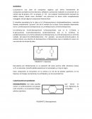 Clasificacion de quinonas
