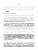 Efectos- Metalúrgica Siderúrgica