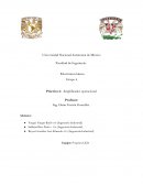 Puente de Whetastone y amp operacional