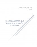 Organismos que rigen la actuación contable