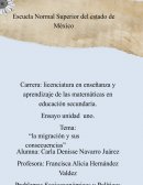 Migracion y sus consecuencias