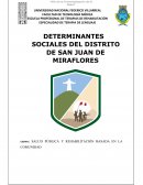 DETERMINANTES SOCIALES DEL DISTRITO DE SAN JUAN DE MIRAFLORES